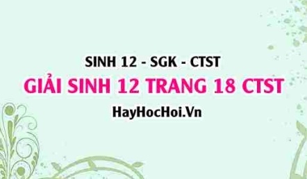 Giải Sinh 12 trang 18 Chân trời sáng tạo SGK